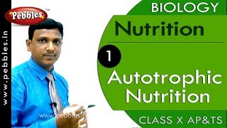 Autotrophic Nutrition Nutrition  Biology  Science  Class 10 [upl. by Oinotnaocram]