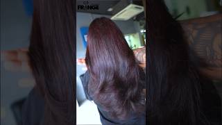 PLUM HAIR HIGHLIGHTS🍒haircolor plumhighlights plumhaircolor haircolortransformation shorts [upl. by Notsirb]