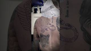 Traditional Tattoo Behind The Scenes with Tomy Jack traditionaltattoos tradtattoo tattoos [upl. by Ysak]