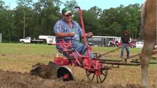 North Carolina Work Horse and Mule Association State Championship Plowing Contest 2012 [upl. by Brenk]