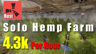 From Seed To Harvest Rust Solo Hemp Farm Challenge [upl. by Eihctir89]