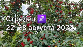 СТРЕЛЕЦ Расклад ТАРО на 2228 АВГУСТА 2022 [upl. by Arretal]