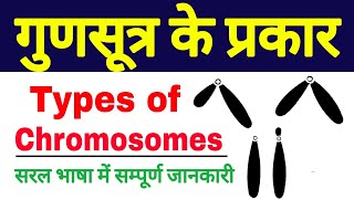 gunsutra ke prakar  types of chromosome  types of chromosomes based on the position of centromere [upl. by Marguerita189]