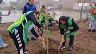 Campaña de arborización UPC [upl. by Nirb81]