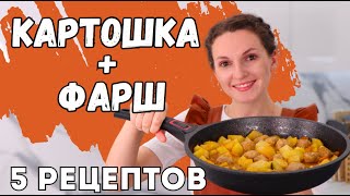 Всегото КАРТОШКА и ФАРШ а так вкусно 5 рецептов из картошки и фарша для ленивых [upl. by Ybrik]