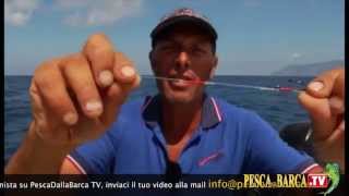 Pesca a TRAINA IN BARCA vacanze allElba con Marco Volpi  Pesca Dalla Barca TV [upl. by Llehcear402]