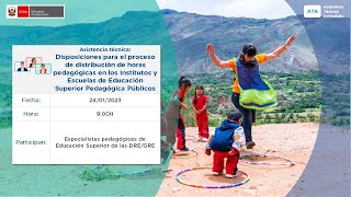 Distribución de horas pedagógicas en Institutos y Escuelas de Educación Superior Pedagógica Públicos [upl. by Agem]