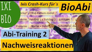 Nachweisreaktionen 1 Nachweis von Glukose Protein Eiweiß Stärke  Abiturtraining 2 Praxisteil [upl. by Ihcehcu109]