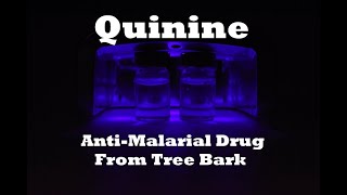 Extracting Quinine From Tree Bark [upl. by Meares]