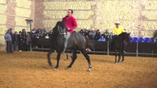 Chico Ramirez Manejo Natural del Caballo 25 aniversario Córdoba España [upl. by Yellehs]