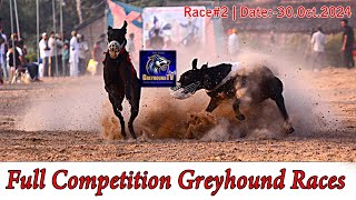 Greyhound Race 2  Full Competition  30Oct2024 greyhound greyhounddog [upl. by Aved348]