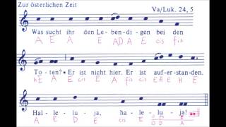 OsterAntiphon Lukas 245 quotWas sucht ihr den Lebendigen bei den Totenquot [upl. by Ynohtnaed]