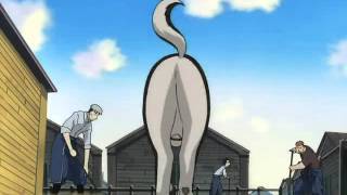 Fullmetal Alchemist Best of Black Hayate dog [upl. by Adlez]