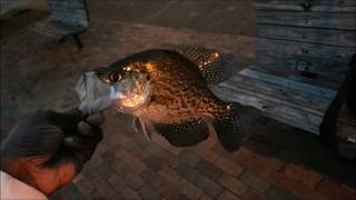 Crappie fishing november [upl. by Kcyrred]