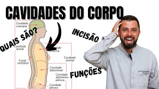 Quais são as CAVIDADES do Corpo Humano  Procedimentos para abertura do corpo em NECROPSIA [upl. by Ahsienod]