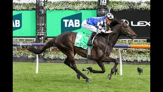 Caulfield Cup 2023 RunnerByRunner Preview [upl. by Issac]