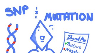 SNP vs Mutation and Genetic Tests [upl. by Ahsilek]