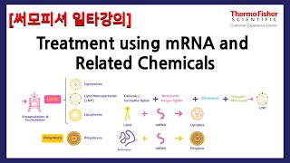 써모피셔 일타강의 mRNA 치료방법 및 연관 화학물질 [upl. by Garrard160]