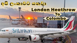 Sri Lankan Airlines Direct Flight From London Heathrow To Colombo Flight Review amp Airport Guide [upl. by Tireb]