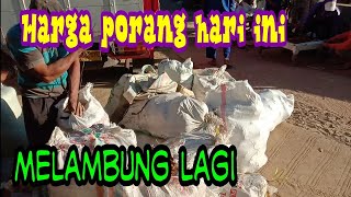 harga porang dan empon hari ini melambung lagi [upl. by Akcemat]