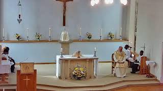 St Gabriels Church Billingshurst Live Stream [upl. by Cirtemed482]