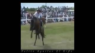 El Indio Marcelo García  Recitado Campero  🐎🕊️🐴🌈🐗🦆🦃 [upl. by Akehsay]