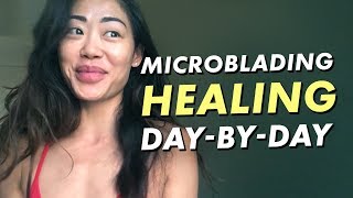 Microblading daybyday review  Eyebrow healing process experience  30 days  Eye Design NY [upl. by Miuqaoj]