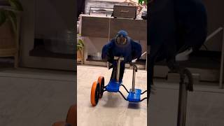 Adorable 🥰 Hyacinth Macaw Cycling 😂 shorts macaw short youtubeshorts [upl. by Aihsat]