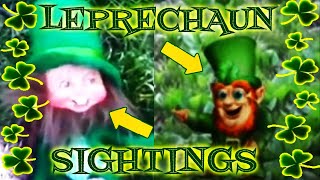 Leprechaun 311 Movie CLIP  End of the Rainbow 1993 HD [upl. by Uball]