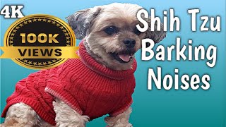 BEST Funny Dogs Barking to Make Your Shih Tzu LAUGH [upl. by Zosema]