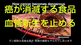 【がん治療】【抗がん剤】 がんが消滅する食品 ウィリアム・リー ted日本語字幕 [upl. by Griffith504]