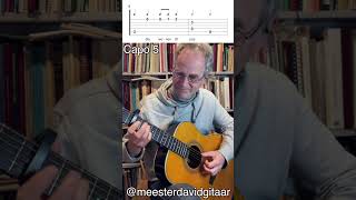 Twee Motten  Dorus Easy guitar tutorial [upl. by Isnan]