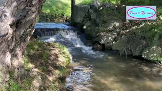 A beautiful walk in nature near my home in Aachen  Truly refreshing [upl. by Ydaj]