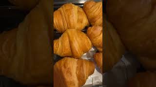 Croissant Sandwiches For Labour Day Lunch shorts food foodie sandwich lunch labourday2024 [upl. by Nonnahc879]