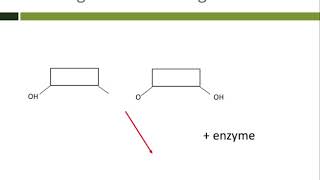 Monomers and polymers [upl. by Simons634]