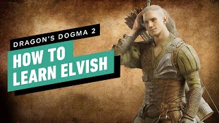 Dragons Dogma 2 How to Learn Elvish Find Woodland Wordsmith Specialization [upl. by Teragram]