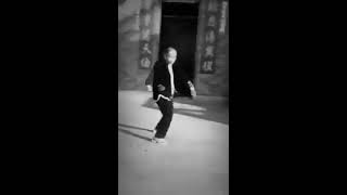 Grand Master Lai Hung 黎雄先生 of Buk Sing Choy Lee Fut [upl. by Aneetsirhc]