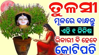 ତୁଳସୀରେ ବାନ୍ଧିଦିଅନ୍ତୁ ୧ ଜିନିଷ୨୪ ଘଣ୍ଟାରେ ମାଲକ୍ଷ୍ମୀ ଧନର ବର୍ଷା କରିବେTulsi Tree benefits Anuchintaodia [upl. by Kcod]