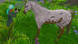 Magic Garden Flowers NEW Star Stable Quest [upl. by Eitsud973]