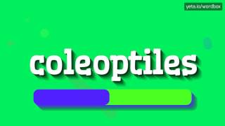 COLEOPTILES  HOW TO PRONOUNCE IT [upl. by Noitna705]