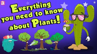 Everything You Need To Know About Plants  Source Of Oxygen  The Dr Binocs Show  Peekaboo Kidz [upl. by Zennas792]