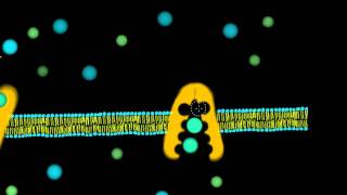 Sodium Potassium Pump ATPase [upl. by Enylcaj737]