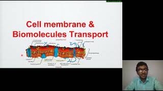 22 Cell biology  Cell membrane Structure and Function  Sandwich  Robertson’s  Fluid mosaic شرح [upl. by Jezabel]