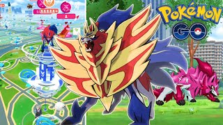 Pokémon GO I Caught ✨️ Shiny Zamazenta in Raid Battles [upl. by Akeinahs249]