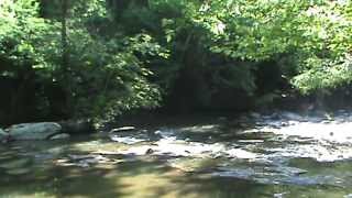 Fishing in the Broad River near Lake Lure N C [upl. by Dinesh]