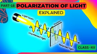 polarization of light class 12 in hindi  Wave Optics [upl. by Airebma]