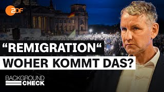 quotRemigrationquot und quotGroßer Austauschquot Daher kommen die Ideen der AfD  Backgroundcheck [upl. by Eenel]