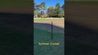 chatswood vrcricket cricket sydney [upl. by Massingill]