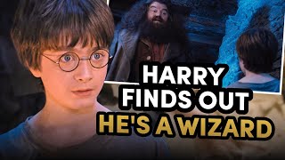 Harry Finds Out Hes a Wizard  Philosophers Stone [upl. by Inanuah689]