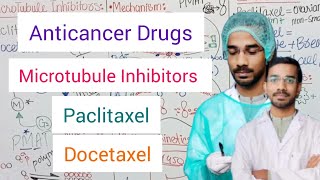 Anticancer Drugs  Microtubule Inhibitors  Paclitaxel  Docetaxel [upl. by Galligan]